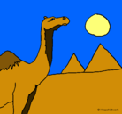Dibujo Camello pintado por sintesme