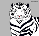 Dibujo Tigre pintado por jhbh