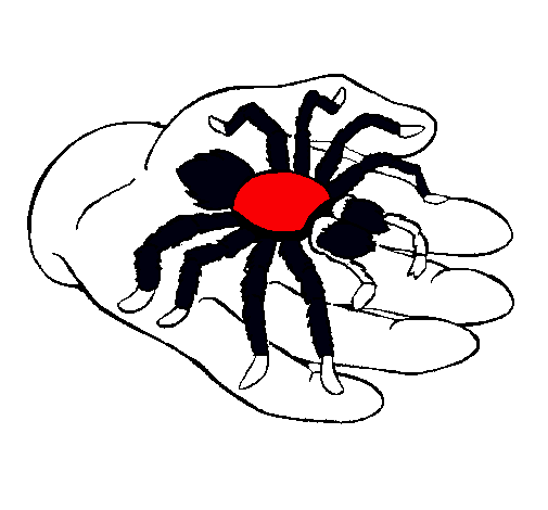 Tarántula