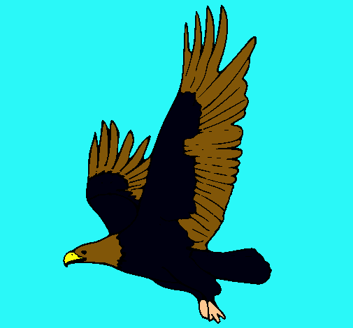 Águila volando