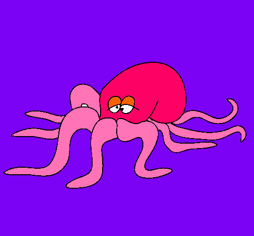 Pulpo