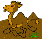 Dibujo Camello pintado por anthony61