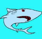 Dibujo Tiburón pintado por brian