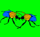 Dibujo Escarabajos pintado por ALE2004