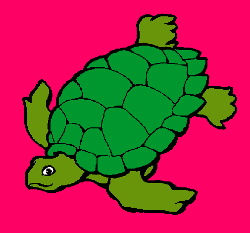 Tortuga