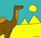Dibujo Camello pintado por viri