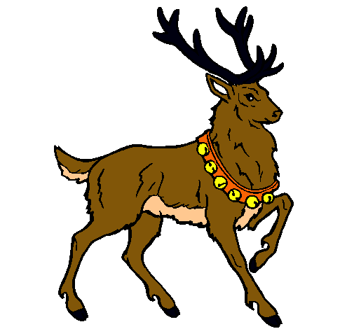 Venado