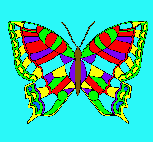 Mariposa