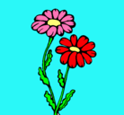Dibujo Margaritas pintado por flores