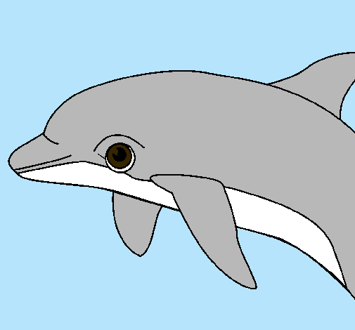 Dibujo Delfín pintado por casiso