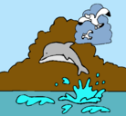 Dibujo Delfín y gaviota pintado por panchi