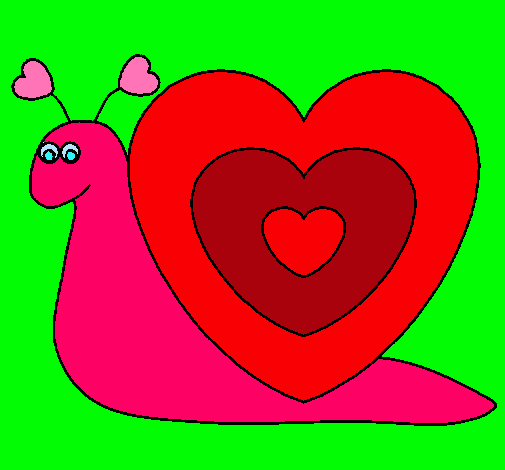 Caracol corazón