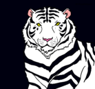Dibujo Tigre pintado por inuyasha