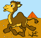 Dibujo Camello pintado por Yhomar