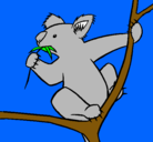 Dibujo Koala pintado por dumi