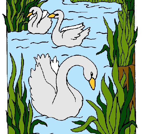 Cisnes