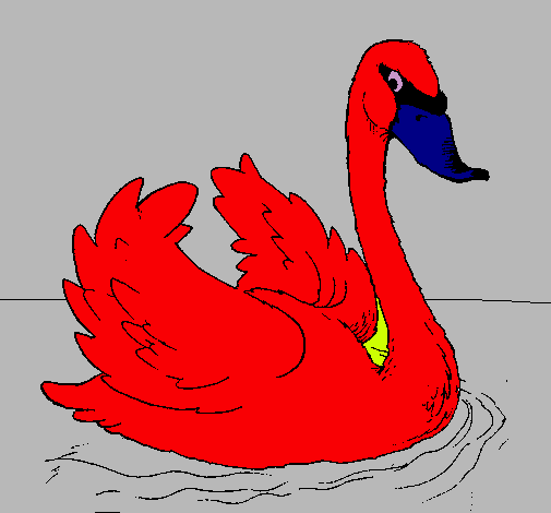 Cisne en el agua