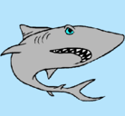 Dibujo Tiburón pintado por TiiBuRon