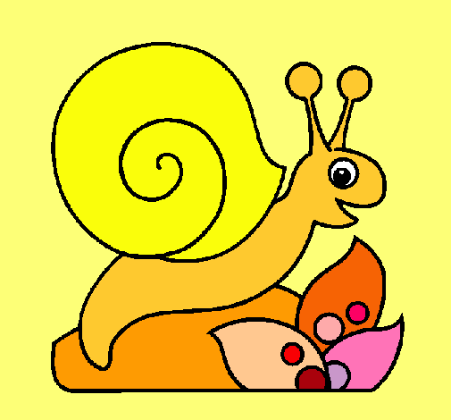 Caracol