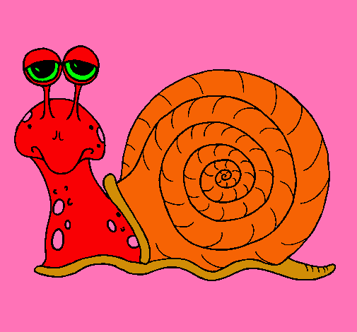 Caracol