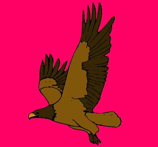 Águila volando