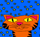 Dibujo Gato y estrellas pintado por lalala