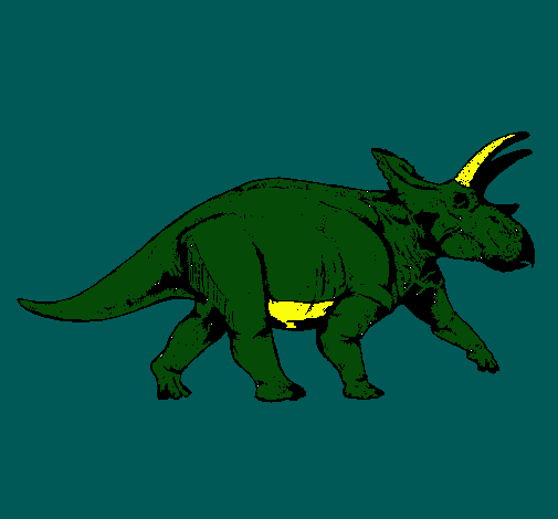 Triceratops