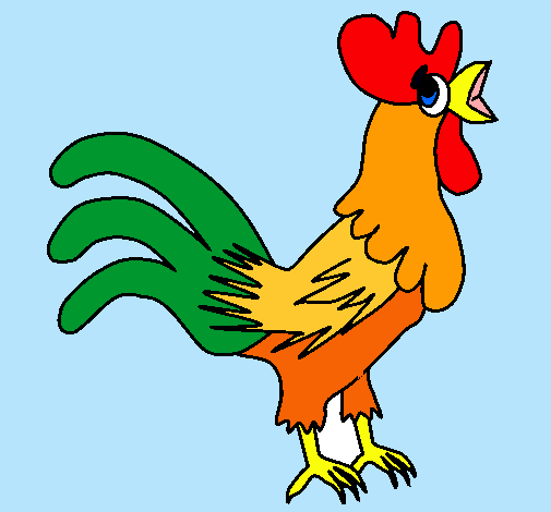 Gallo