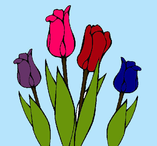 Tulipanes