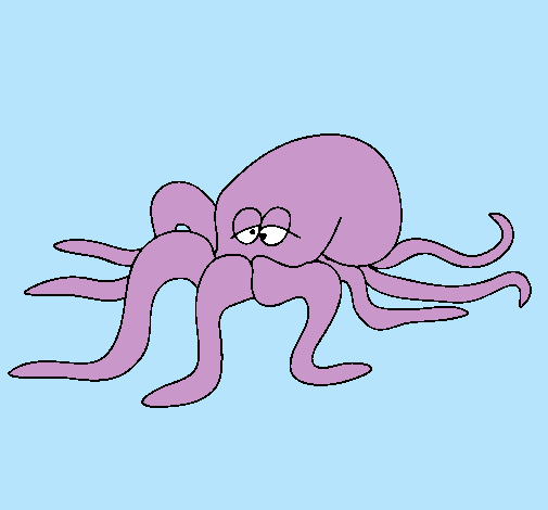 Pulpo