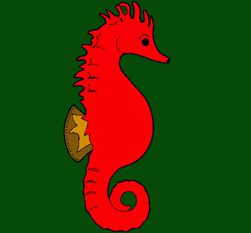 Caballito de mar