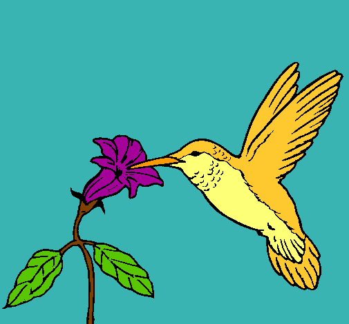 Dibujo Colibrí y una flor pintado por monsita