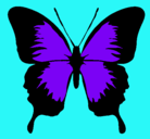 Dibujo Mariposa con alas negras pintado por lucia23