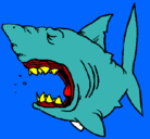 Dibujo Tiburón pintado por tiburonsin 
