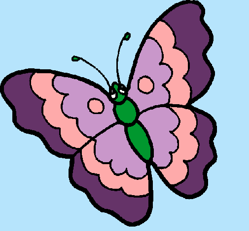 Mariposa