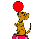 Dibujo Perro de circo pintado por pao-carla