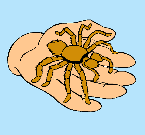 Tarántula