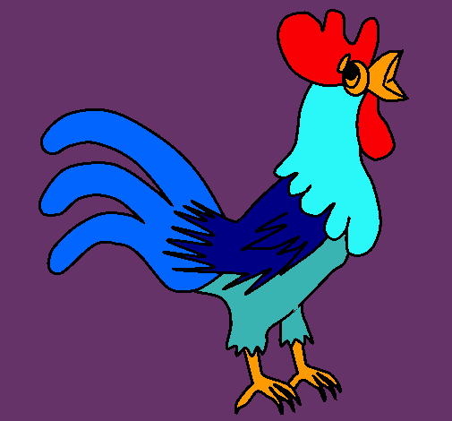 Gallo