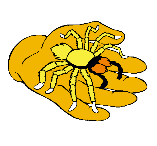 Tarántula