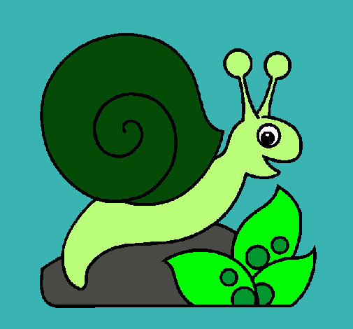 Caracol