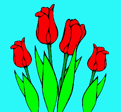 Tulipanes