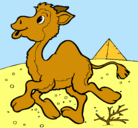 Dibujo Camello pintado por eviki