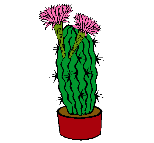 Cactus con flores