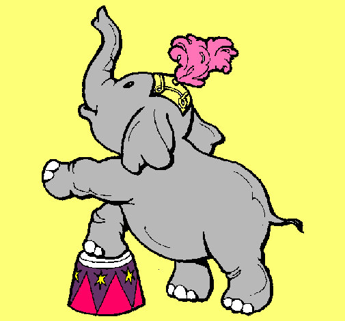 Elefante