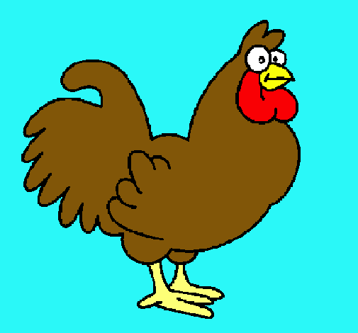 Gallo