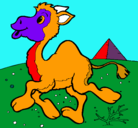 Dibujo Camello pintado por izan25