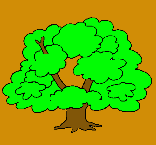 Árbol