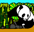 Dibujo Oso panda y bambú pintado por isla