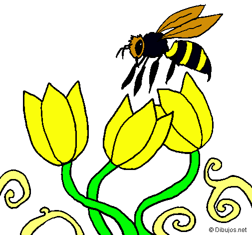 Abeja