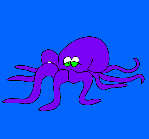 Pulpo